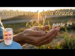 Oltre le radici - Trasformare le ferite in risorse di guarigione
